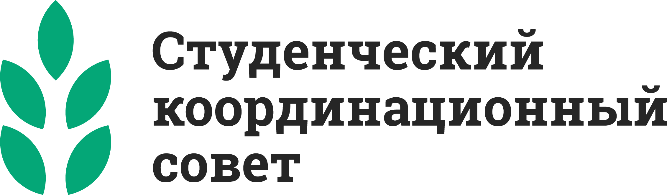 студенческий координационный совет